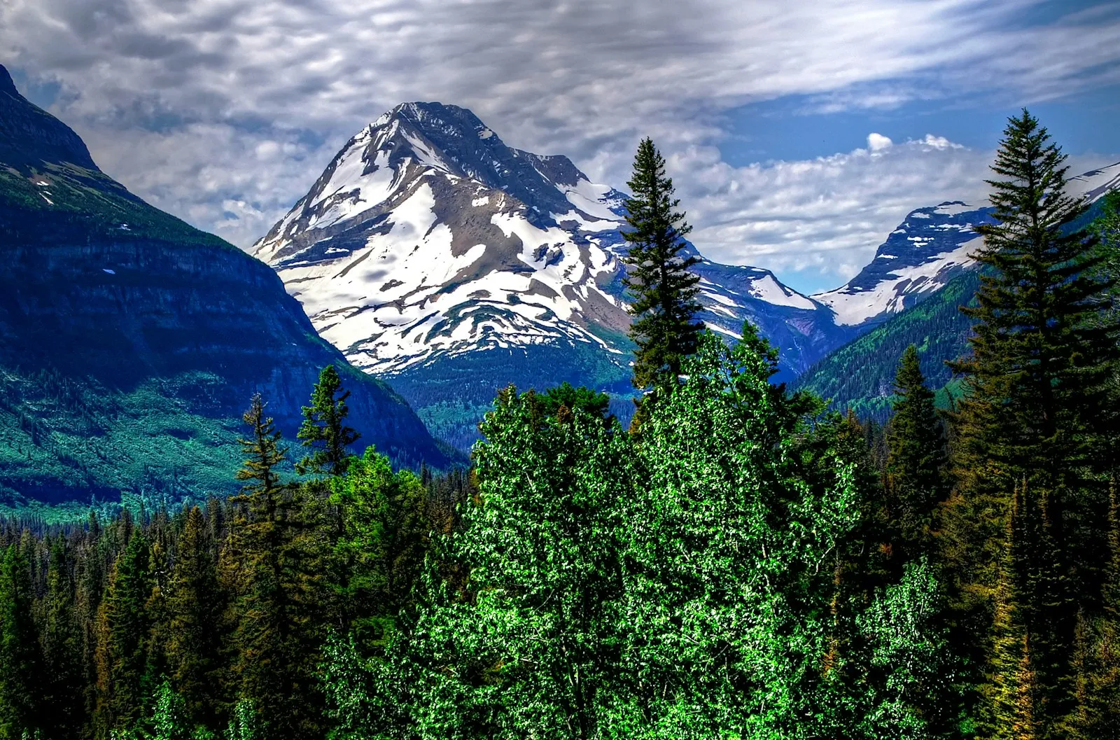 Apgar Campground Review: Glacier NP's Largest and Most Accessible