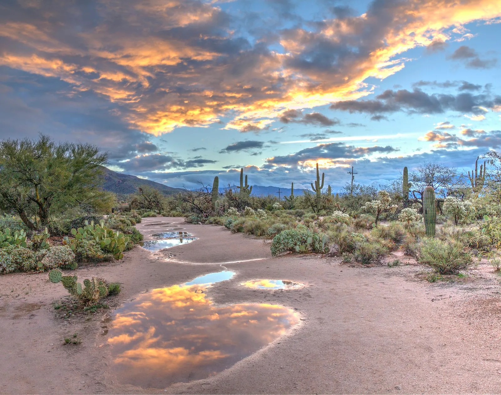 Arizona RV Parks: The Snowbird's Complete Guide