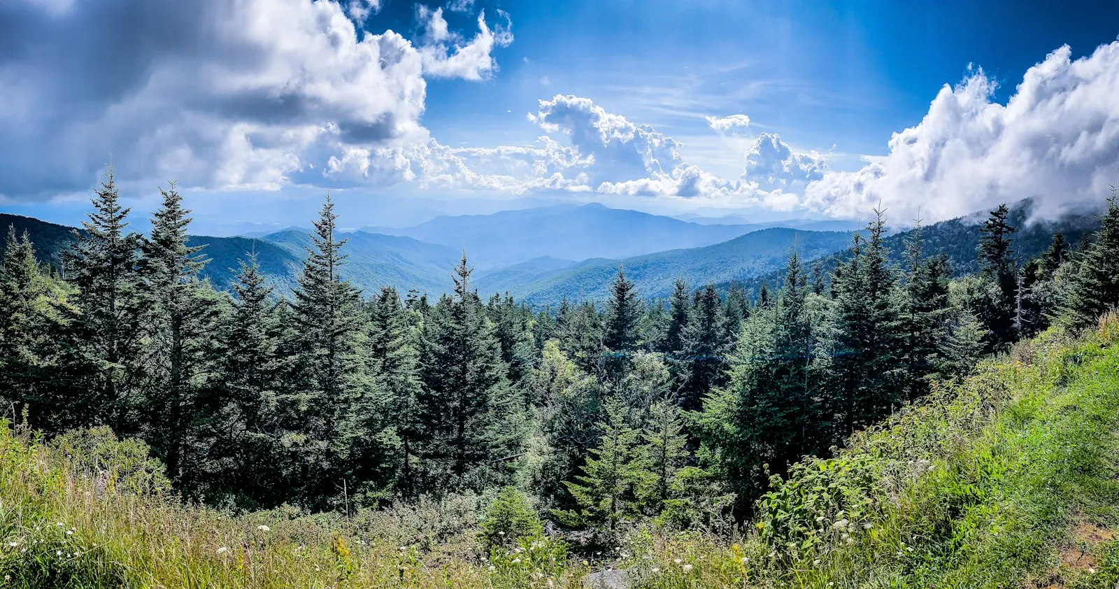 Best RV Parks in Tennessee: Smokies, Music City & Beyond (2026)