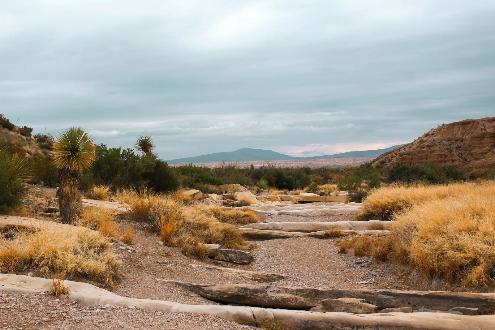 Big Bend RV Camping: Desert Solitude and Dark Skies