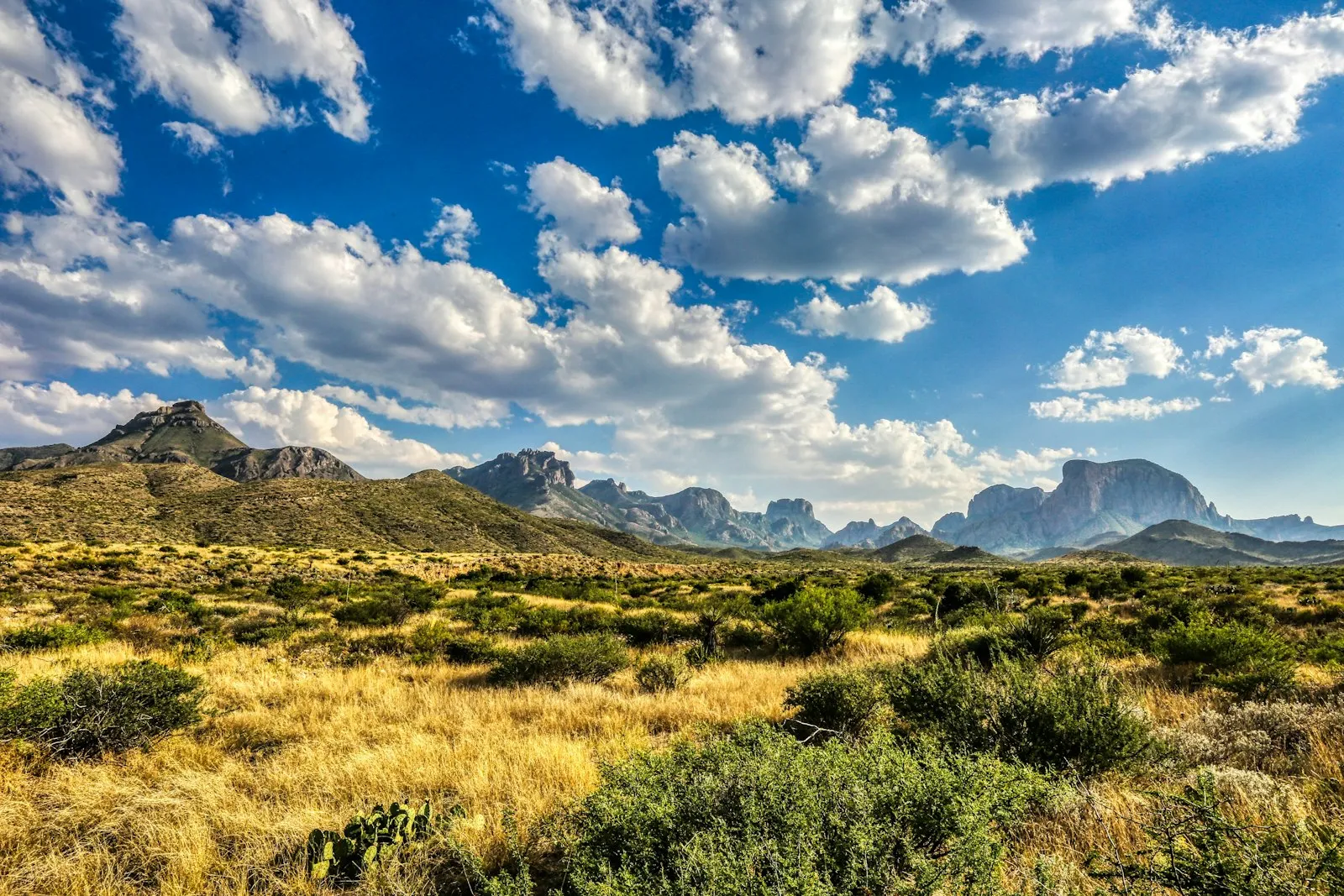 Chisos Basin Campground Review: Big Bend's Mountain Bowl