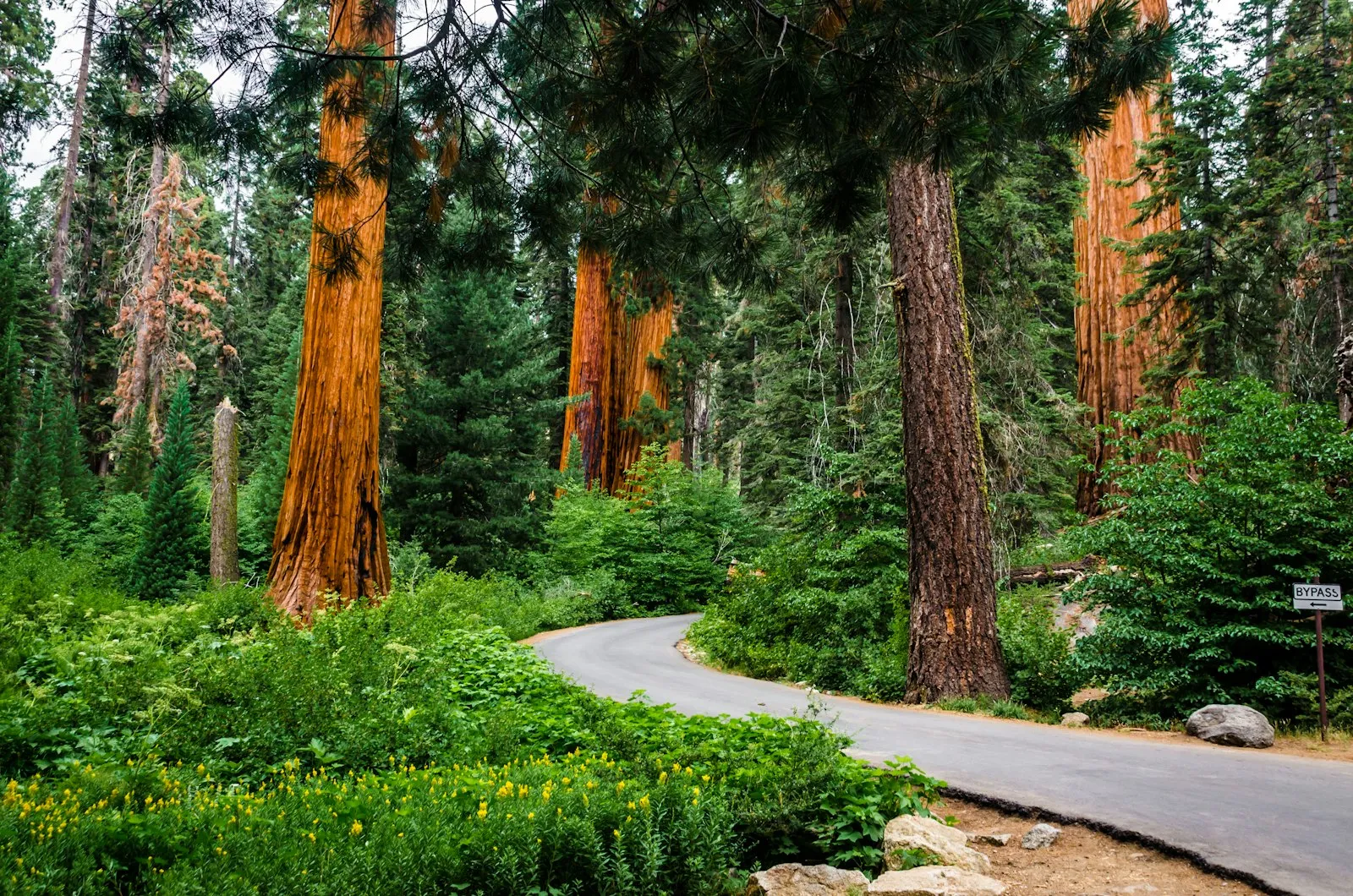 RV Camping in Sequoia National Forest: Campgrounds, Kern River & Free Dispersed Sites