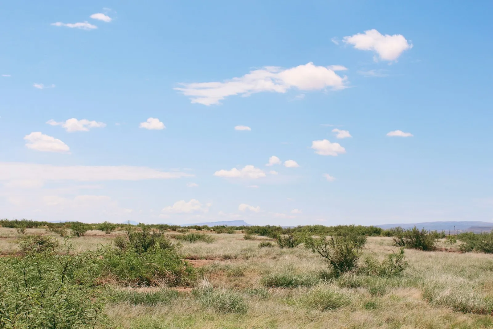 Best RV Parks in Texas: Hill Country to Big Bend